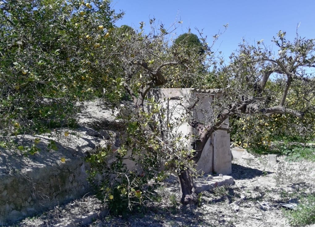 1 chambre Finca/Maison de Campagne à vendre à Blanca - 89 000 € (Ref: 8895831)