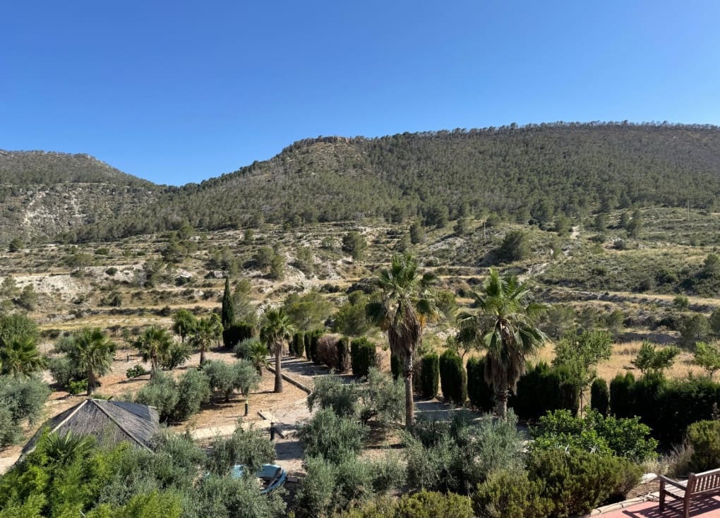 4 soveværelse Finca/Landehus til salg i Ojos med swimmingpool garage - € 636.300 (Ref: 9084813)