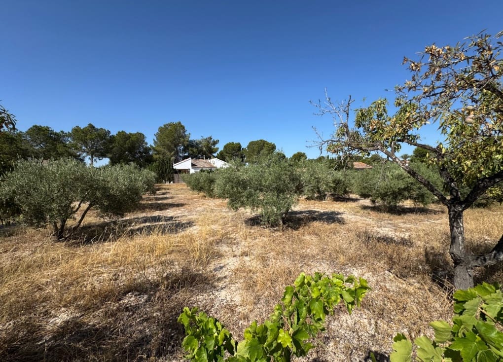 4 soveværelse Villa til salg i Molina de Segura med swimmingpool - € 256.000 (Ref: 9105264)