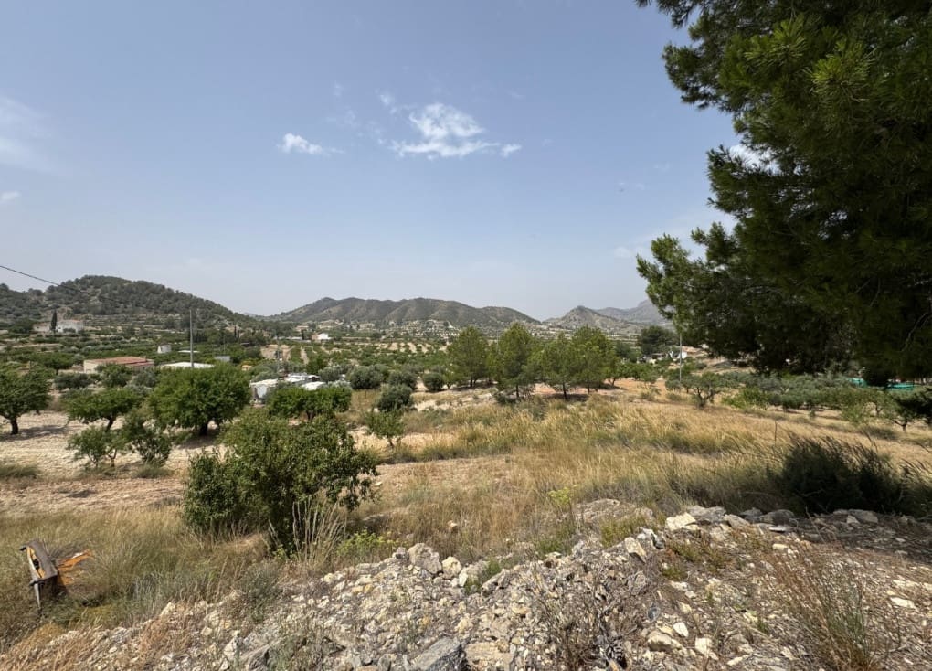 4 soveværelse Finca/Landehus til salg i Ricote - € 64.000 (Ref: 9119101)
