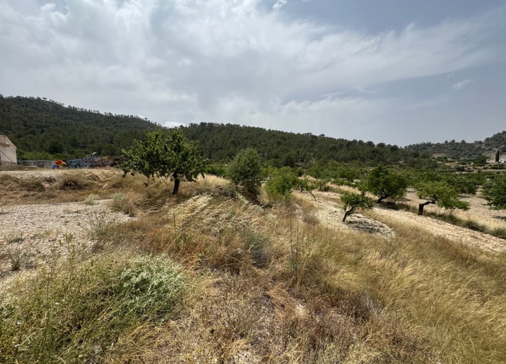 4 soveværelse Finca/Landehus til salg i Ricote - € 64.000 (Ref: 9119101)