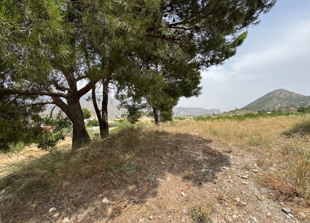 4 soveværelse Finca/Landehus til salg i Ricote - € 64.000 (Ref: 9119101)