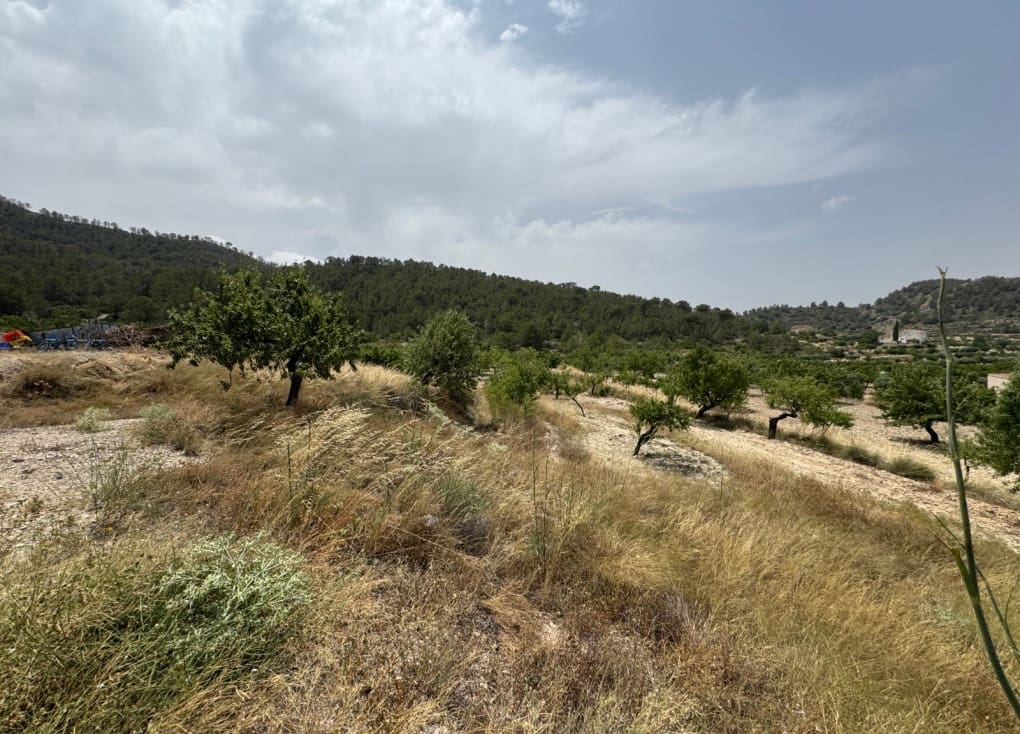 4 soveværelse Finca/Landehus til salg i Ricote - € 64.000 (Ref: 9119101)