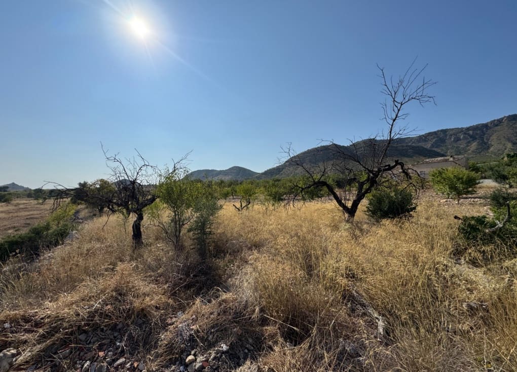 2 soveværelse Finca/Landehus til salg i Ricote - € 68.000 (Ref: 9146001)