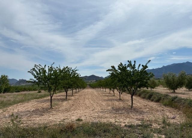 Bouwgrond te koop in Ricote - € 26.000 (Ref: 9165287)