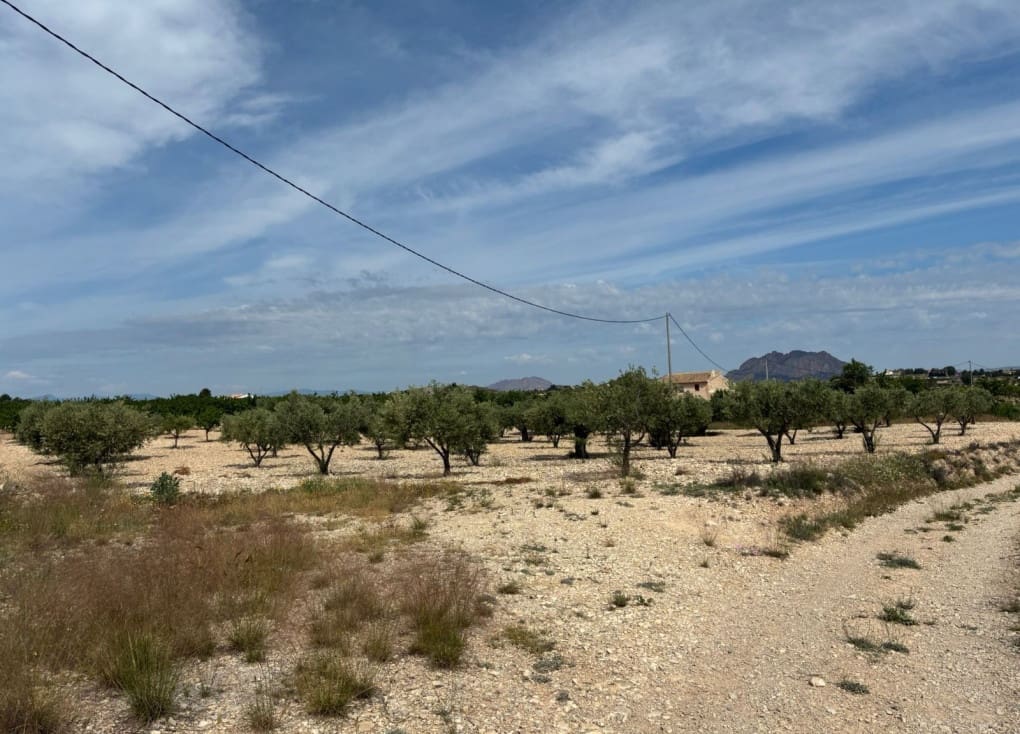 Byggegrund til salg i Ricote - € 26.000 (Ref: 9165287)