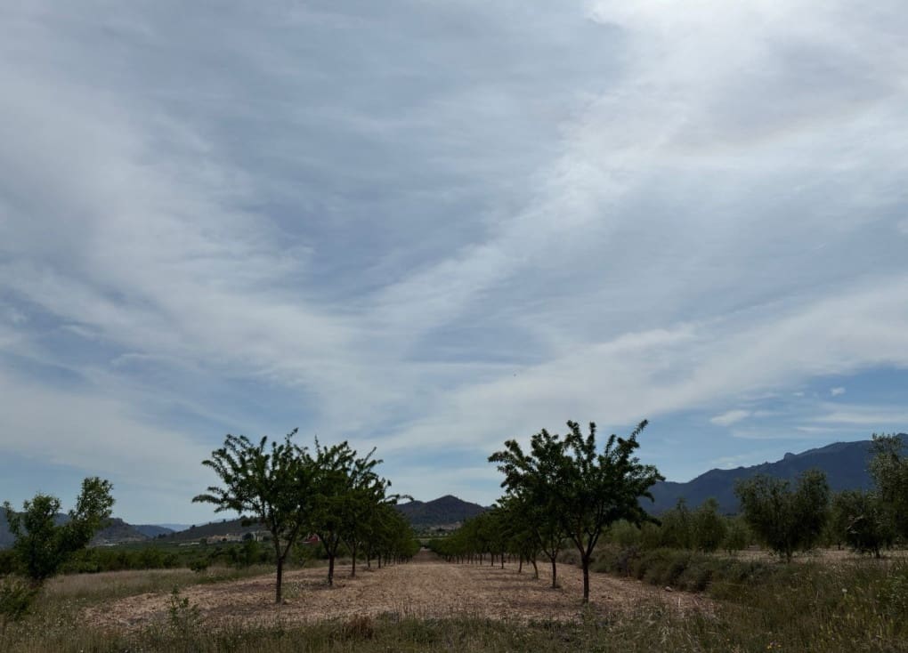 Byggegrund til salg i Ricote - € 26.000 (Ref: 9165287)