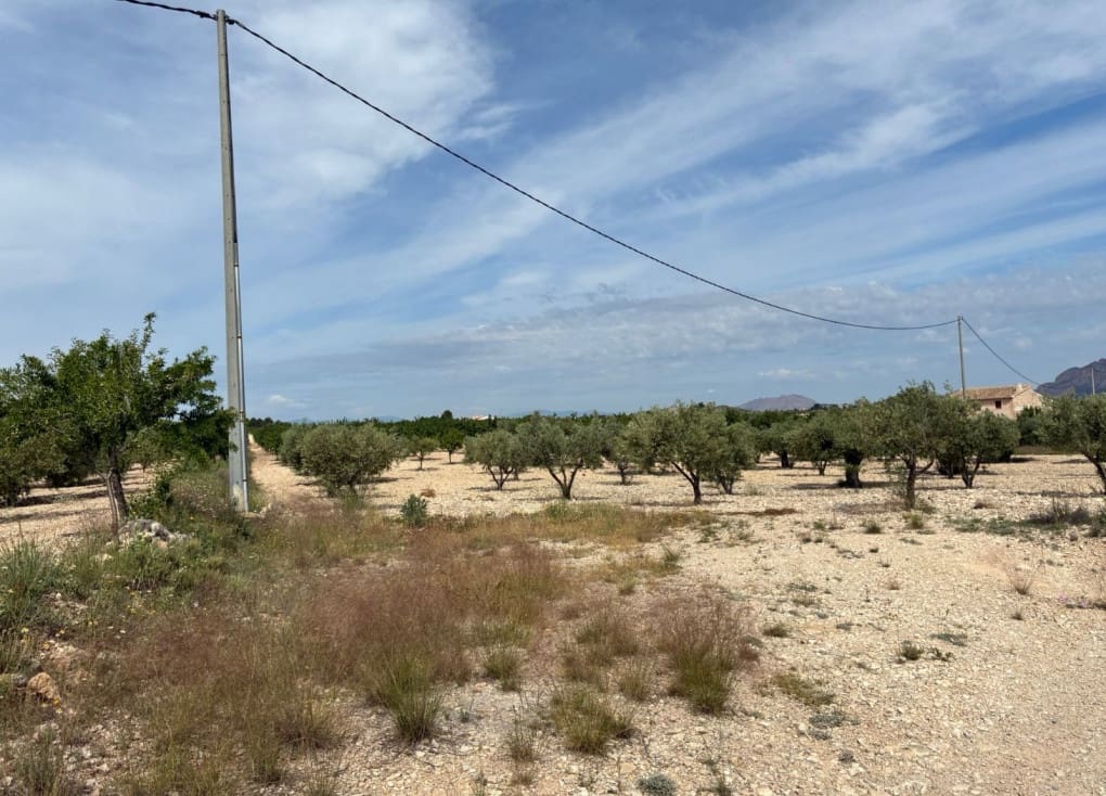 Byggegrund til salg i Ricote - € 26.000 (Ref: 9165287)