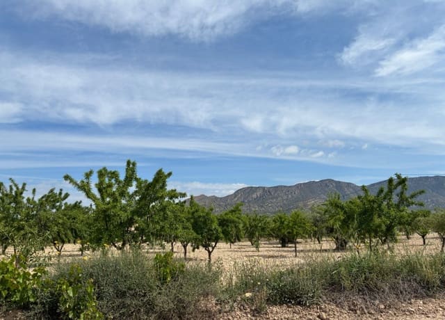 Bouwgrond te koop in Ricote - € 26.000 (Ref: 9165287)