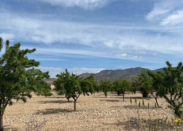 Bouwgrond te koop in Ricote - € 26.000 (Ref: 9165287)