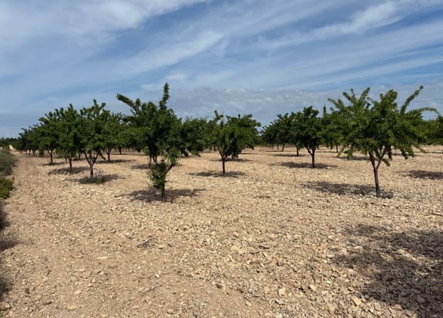 Bouwgrond te koop in Ricote - € 26.000 (Ref: 9165287)