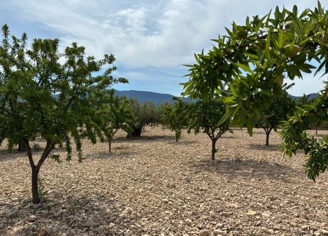 Bouwgrond te koop in Ricote - € 26.000 (Ref: 9165287)