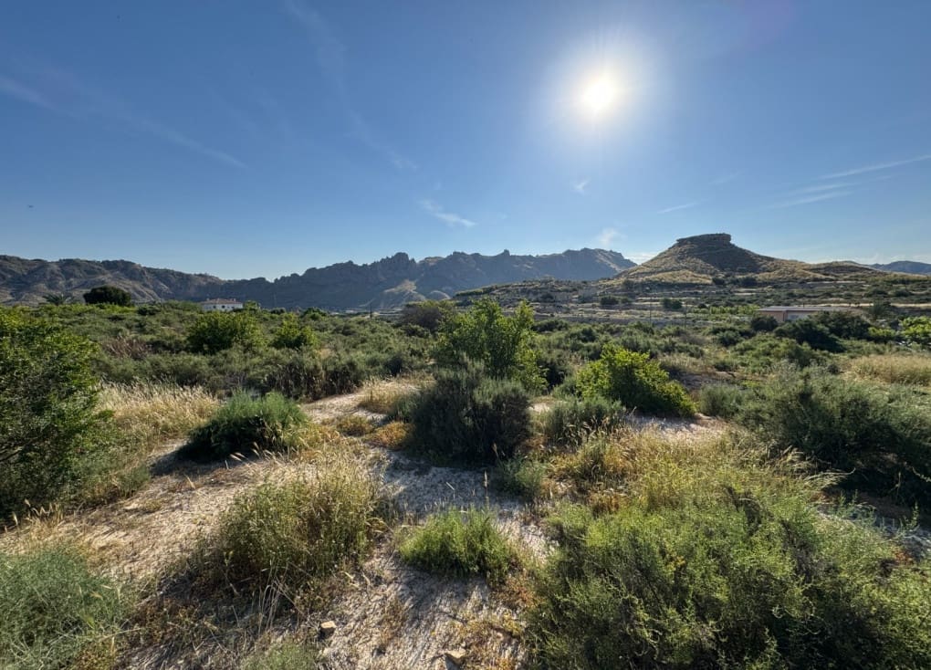 Finca/Landehus til salg i Abaran - € 112.000 (Ref: 9165288)