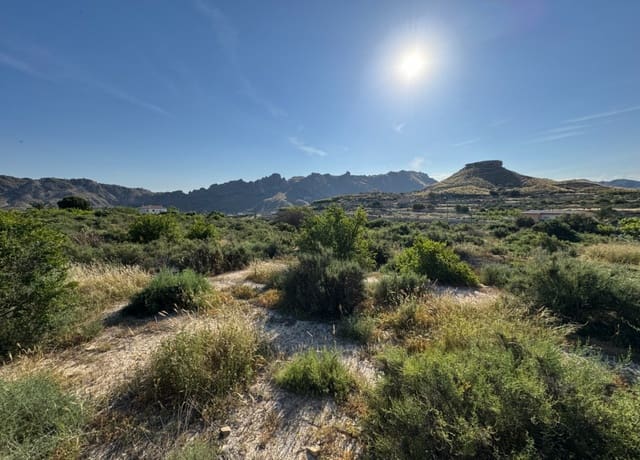 Finca/Landhuis te koop in Abarán - € 112.000 (Ref: 9165288)