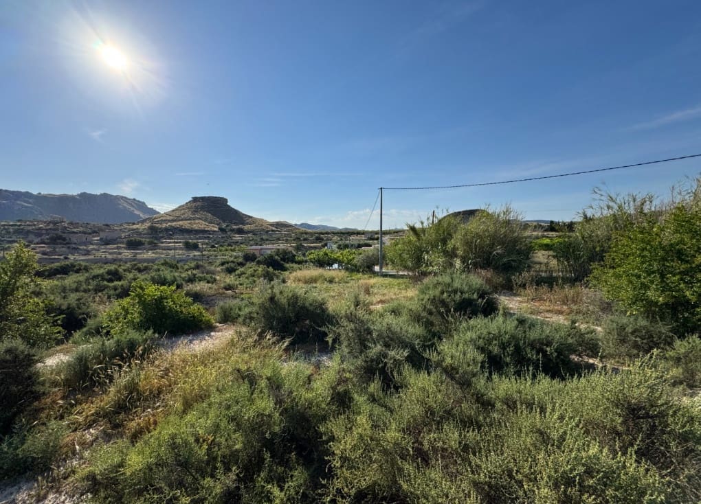 Finca/Landehus til salg i Abaran - € 112.000 (Ref: 9165288)