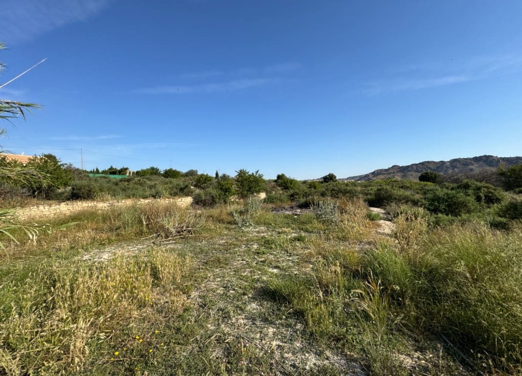 Finca/Landehus til salg i Abaran - € 112.000 (Ref: 9165288)