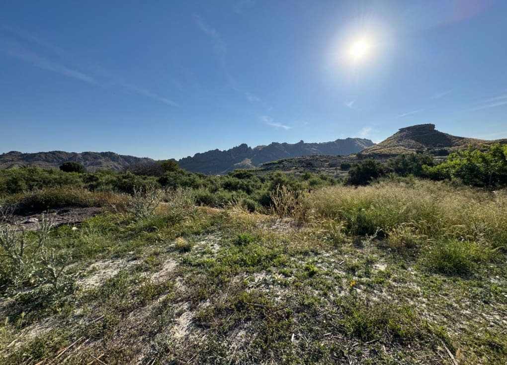 Finca/Landehus til salg i Abaran - € 112.000 (Ref: 9165288)