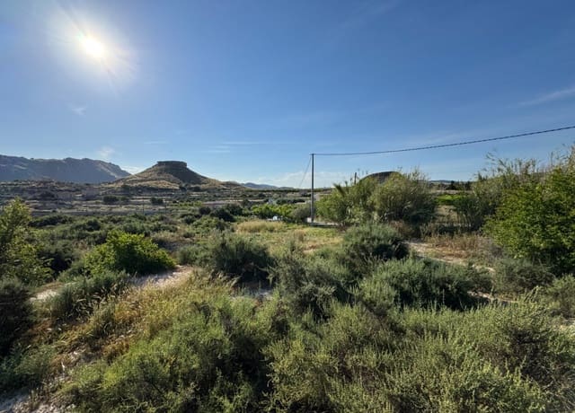 Finca/Landhuis te koop in Abarán - € 112.000 (Ref: 9165288)