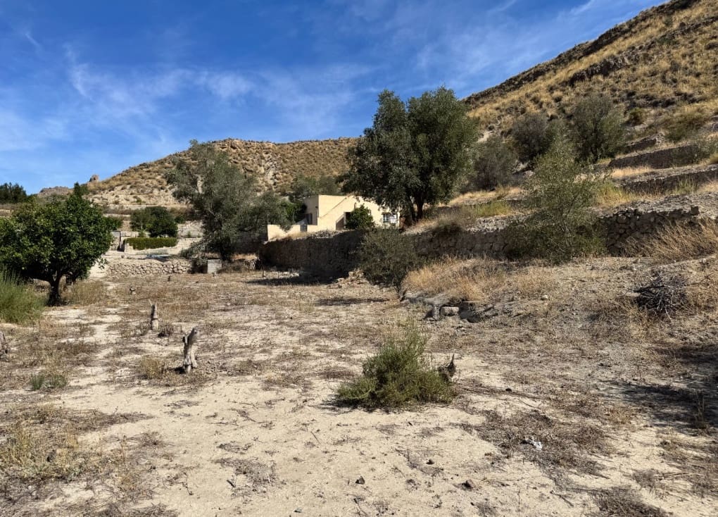 2 chambre Finca/Maison de Campagne à vendre à Blanca avec garage - 145 000 € (Ref: 9207118)