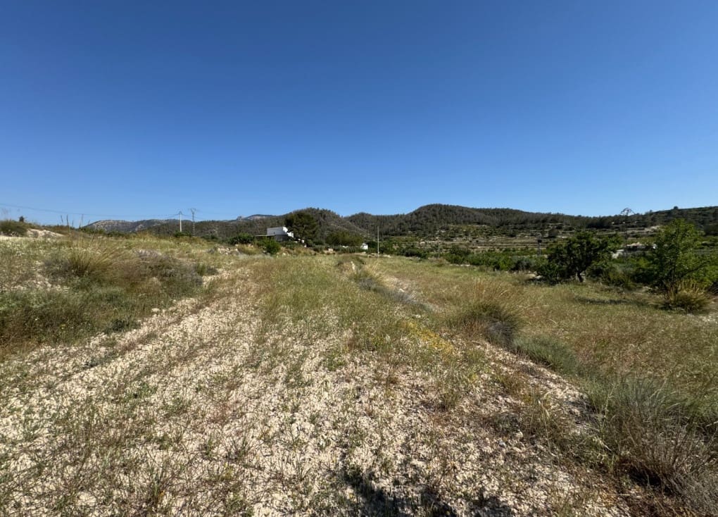 6 soveværelse Finca/Landehus til salg i Ricote - € 160.000 (Ref: 9335719)