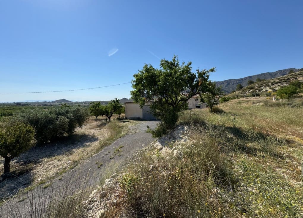 6 soveværelse Finca/Landehus til salg i Ricote - € 160.000 (Ref: 9335719)