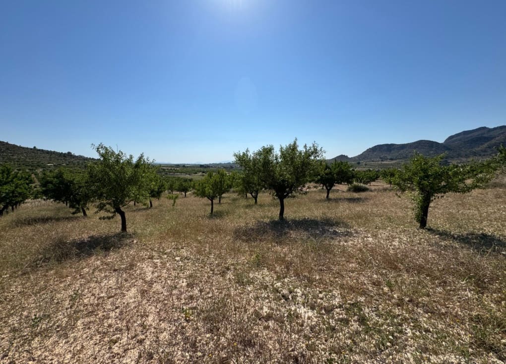 6 soveværelse Finca/Landehus til salg i Ricote - € 160.000 (Ref: 9335719)