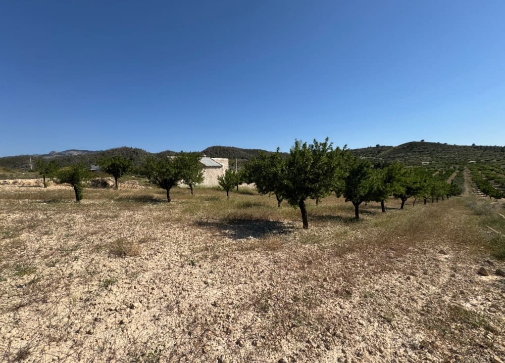 6 soveværelse Finca/Landehus til salg i Ricote - € 160.000 (Ref: 9335719)