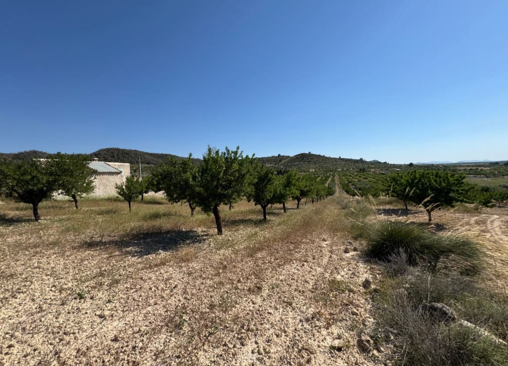 6 soveværelse Finca/Landehus til salg i Ricote - € 160.000 (Ref: 9335719)