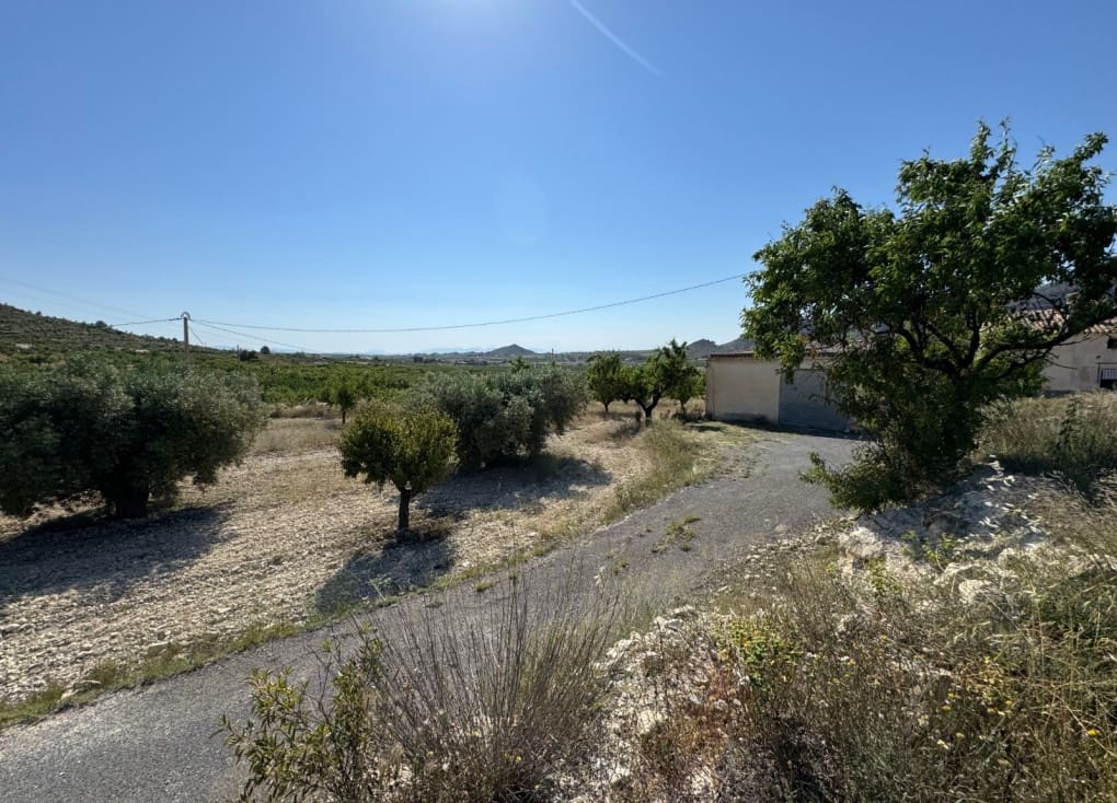 6 soveværelse Finca/Landehus til salg i Ricote - € 160.000 (Ref: 9335719)