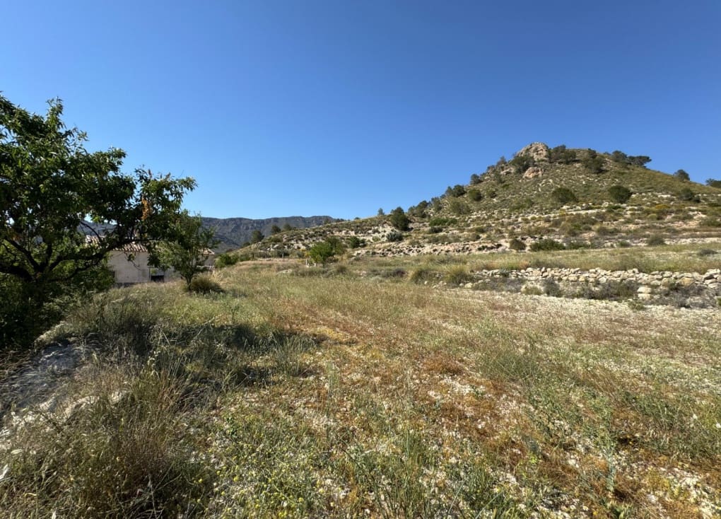 6 soveværelse Finca/Landehus til salg i Ricote - € 160.000 (Ref: 9335719)
