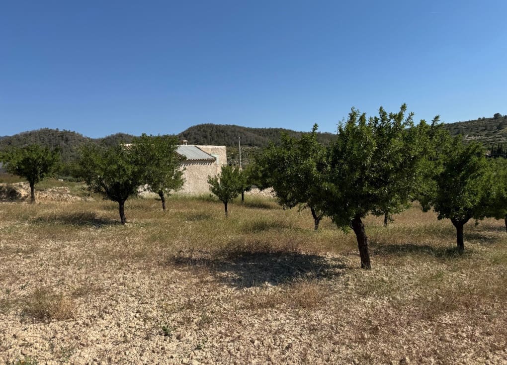 6 soveværelse Finca/Landehus til salg i Ricote - € 160.000 (Ref: 9335719)