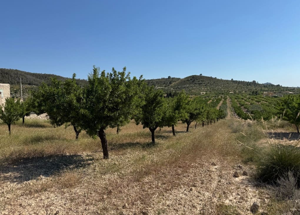 6 soveværelse Finca/Landehus til salg i Ricote - € 160.000 (Ref: 9335719)