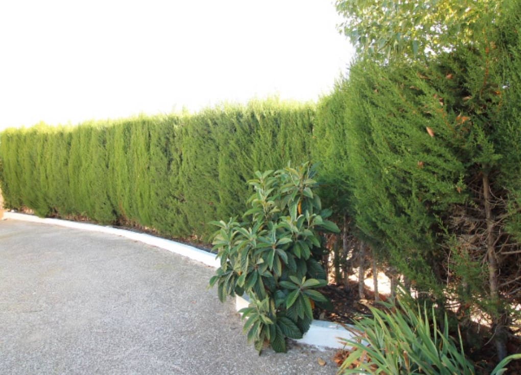 4 chambre Finca/Maison de Campagne à vendre à Ricote avec piscine garage - 139 000 € (Ref: 9427896)