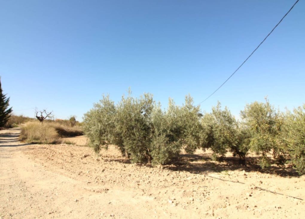 4 chambre Finca/Maison de Campagne à vendre à Ricote avec piscine garage - 139 000 € (Ref: 9427896)