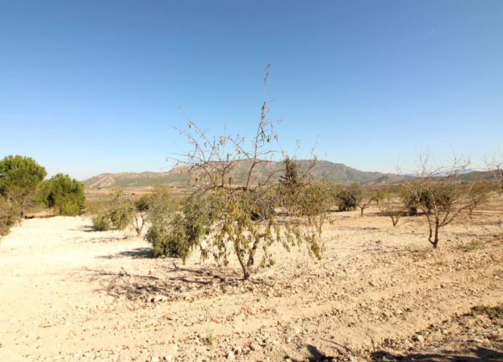 4 chambre Finca/Maison de Campagne à vendre à Ricote avec piscine garage - 139 000 € (Ref: 9427896)