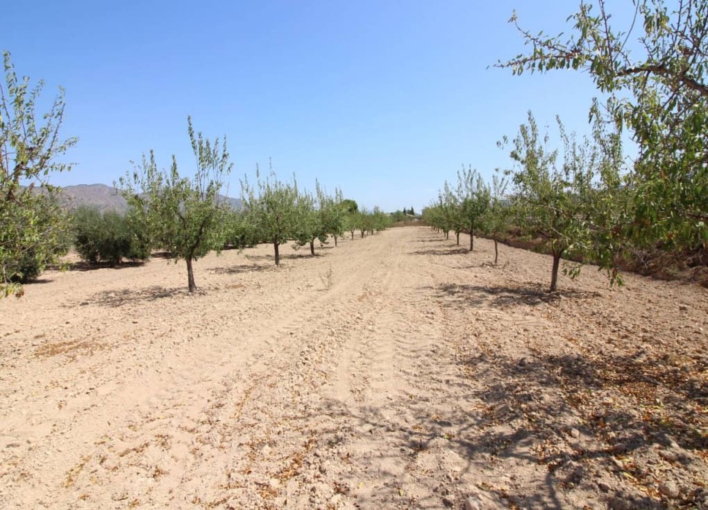 4 chambre Finca/Maison de Campagne à vendre à Ricote avec piscine garage - 139 000 € (Ref: 9427896)