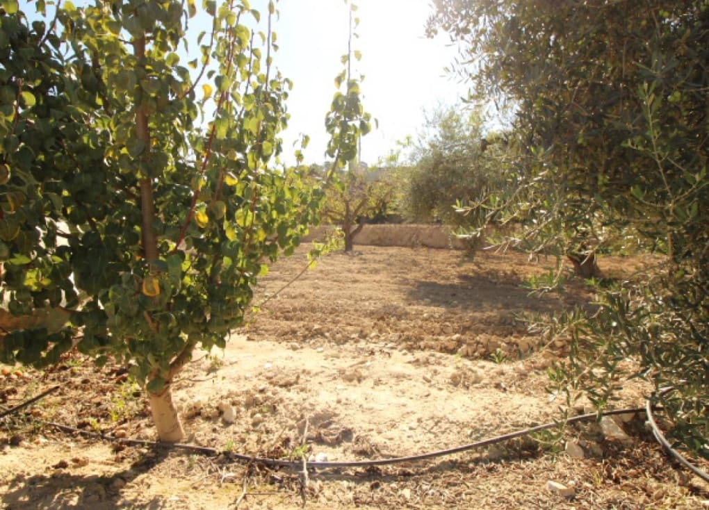 4 chambre Finca/Maison de Campagne à vendre à Ricote avec piscine garage - 139 000 € (Ref: 9427896)