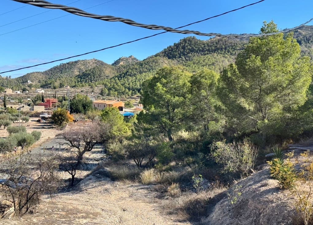 6 bedroom Finca/Country House for sale in Ricote with garage - € 110,000 (Ref: 9435159)