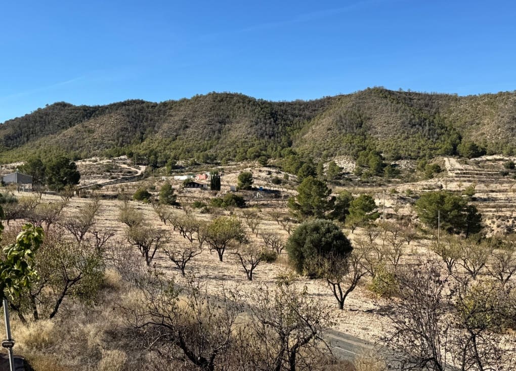 6 bedroom Finca/Country House for sale in Ricote with garage - € 110,000 (Ref: 9435159)