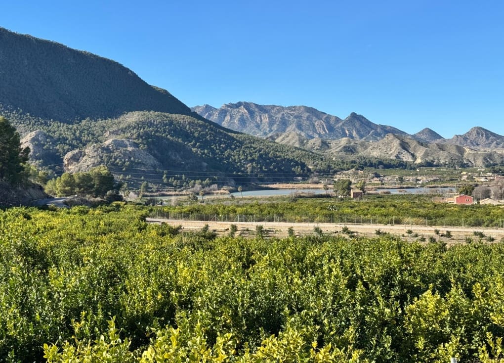 2 sypialnia Willa na sprzedaż w Blanca z basenem garażem - 150 000 € (Ref: 9495461)