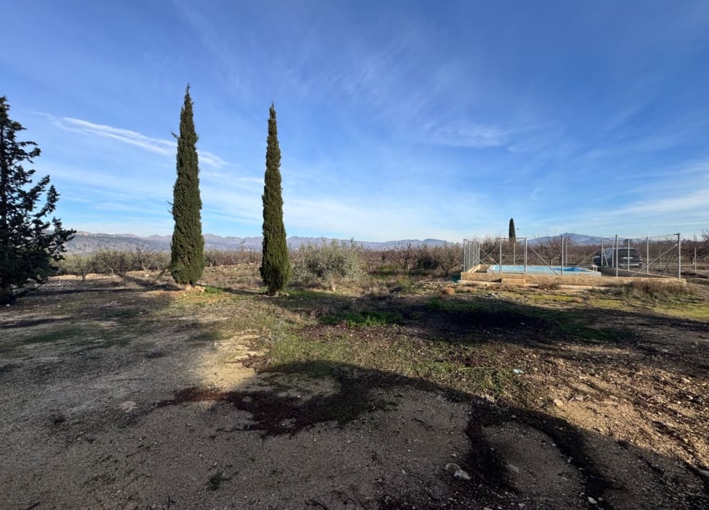 2 sovrum Finca/Hus på landet till salu i Abaran med pool - 89 000 € (Ref: 9528674)