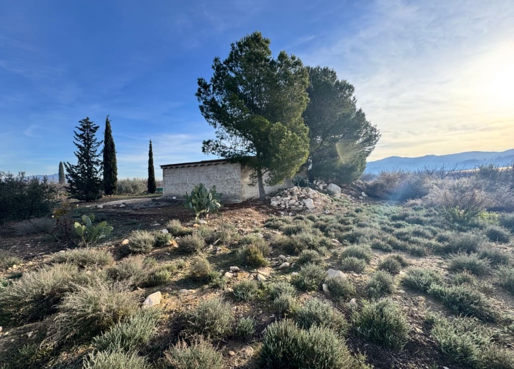 2 sovrum Finca/Hus på landet till salu i Abaran med pool - 89 000 € (Ref: 9528674)