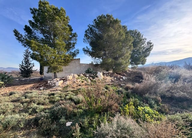 2 sovrum Finca/Hus på landet till salu i Abarán med pool - 89 000 € (Ref: 9528674)