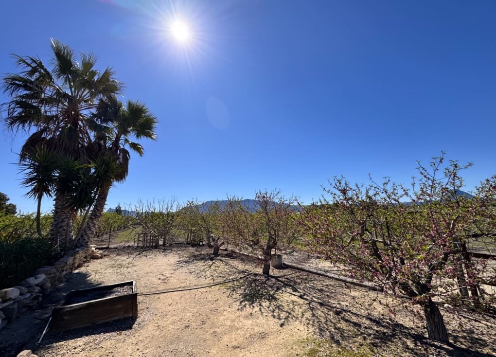 3 chambre Finca/Maison de Campagne à vendre à Cieza avec piscine garage - 195 000 € (Ref: 9566795)