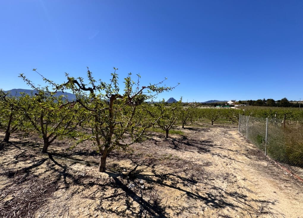 3 chambre Finca/Maison de Campagne à vendre à Cieza avec piscine garage - 195 000 € (Ref: 9566795)