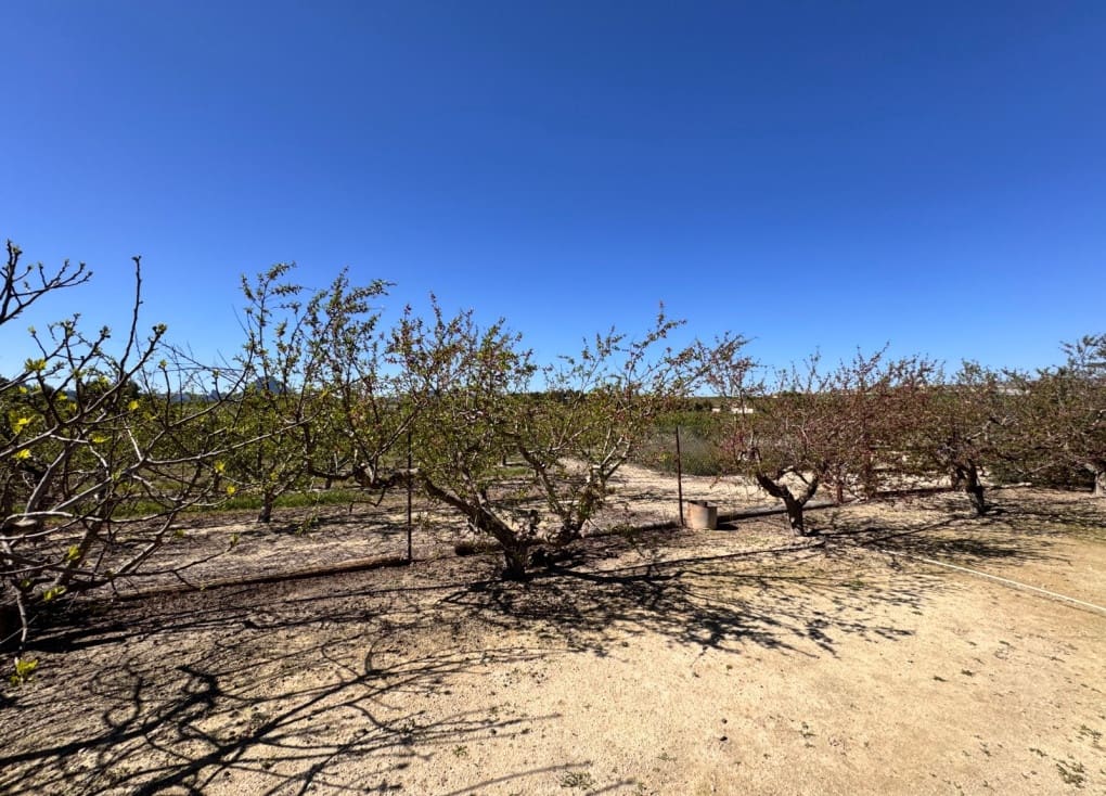 3 chambre Finca/Maison de Campagne à vendre à Cieza avec piscine garage - 195 000 € (Ref: 9566795)