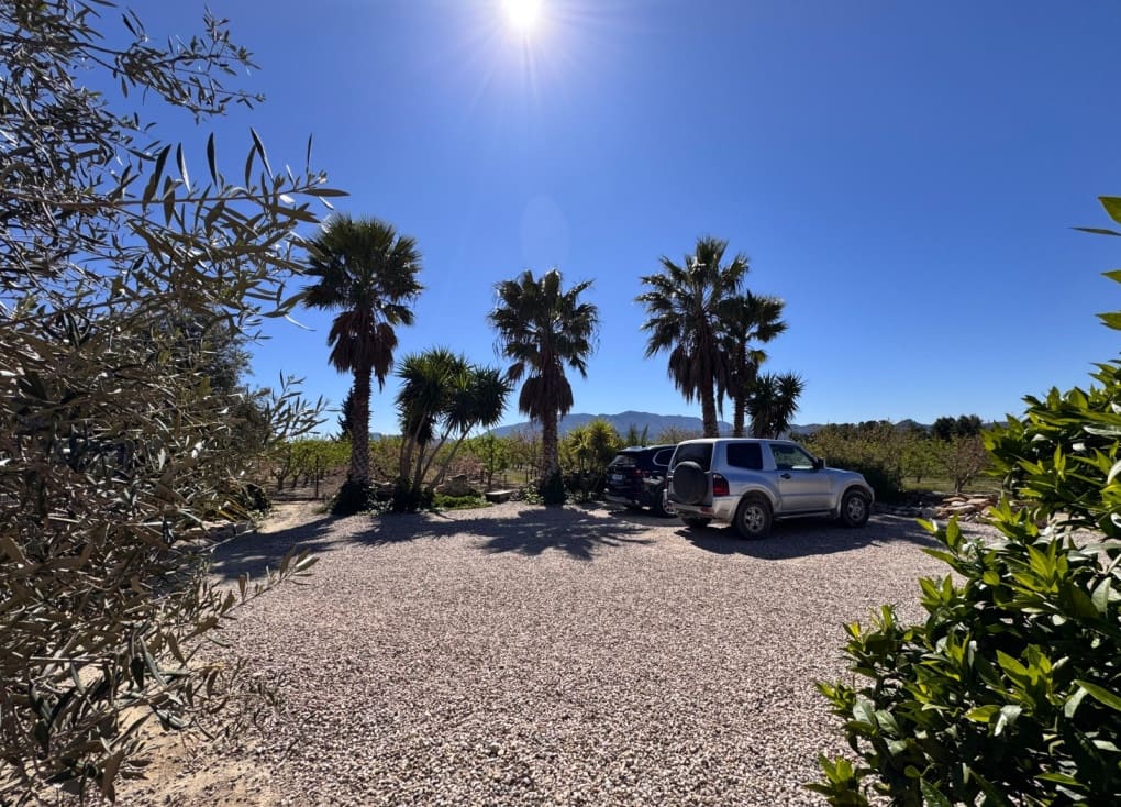 3 chambre Finca/Maison de Campagne à vendre à Cieza avec piscine garage - 195 000 € (Ref: 9566795)