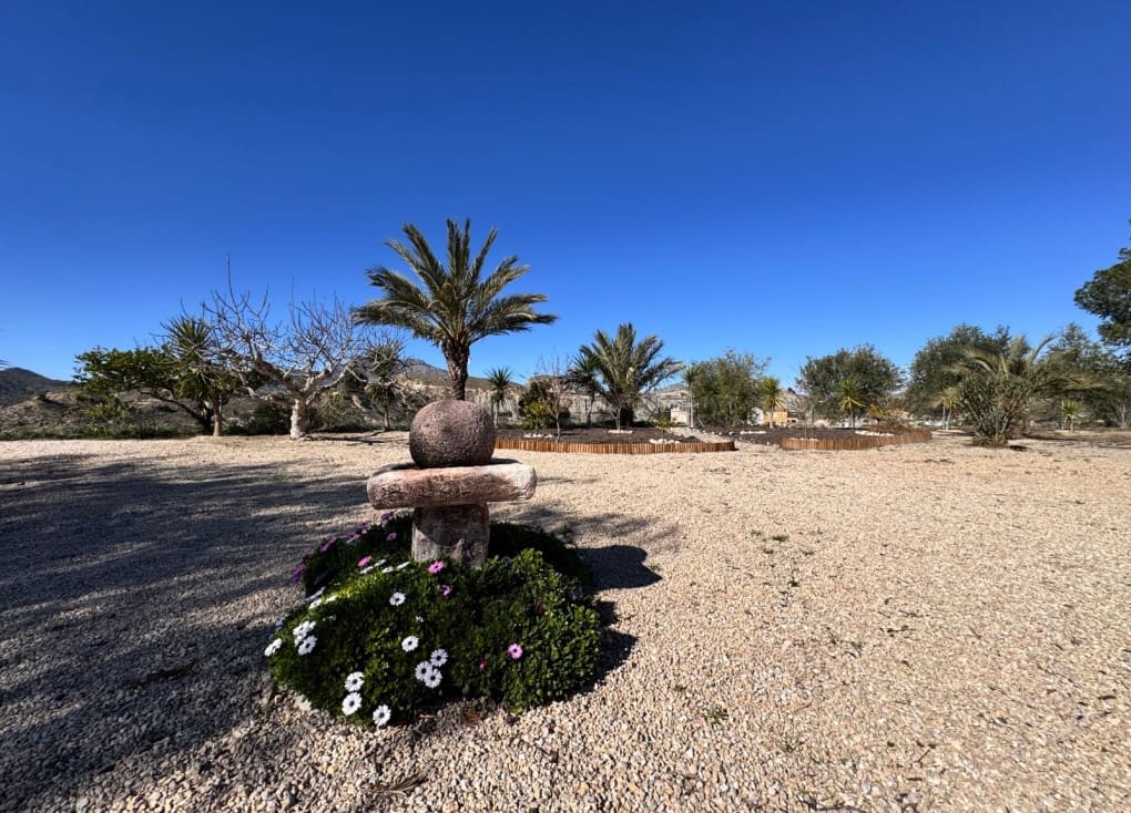 3 bedroom Villa for sale in Blanca with pool garage - € 199,000 (Ref: 9588039)