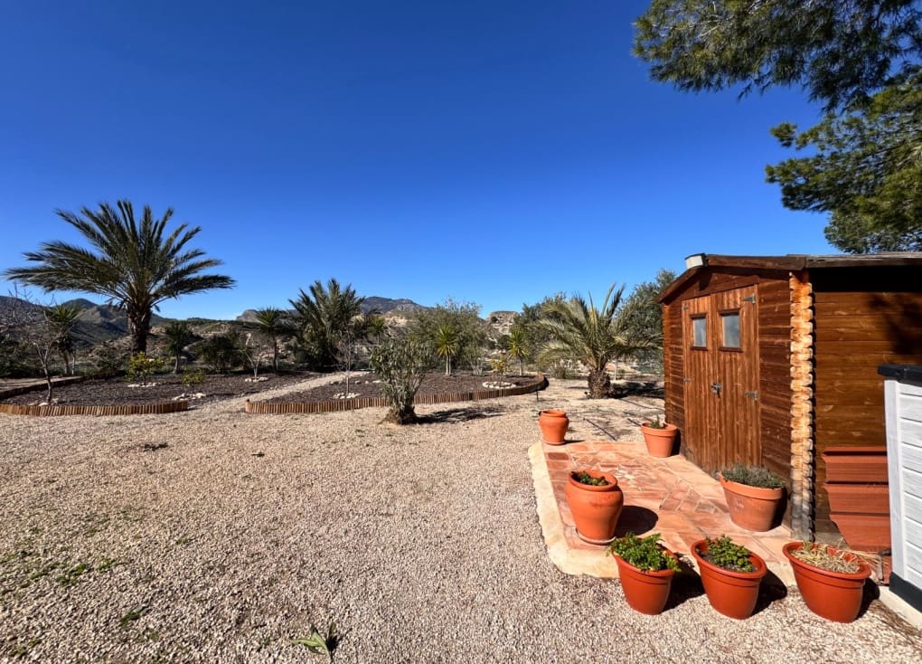 3 bedroom Villa for sale in Blanca with pool garage - € 199,000 (Ref: 9588039)