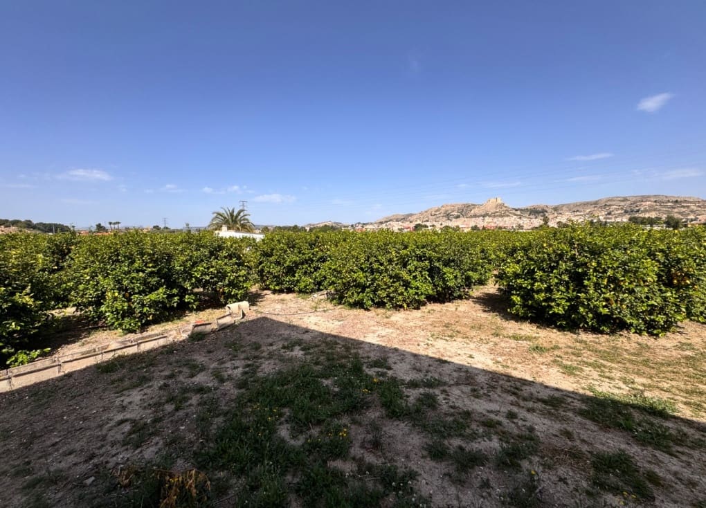 Building Plot for sale in Mula - € 300,000 (Ref: 9867606)